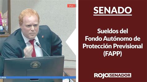Infografía sobre el funcionamiento del Fondo Autónomo de Protección Social (FAPP)
