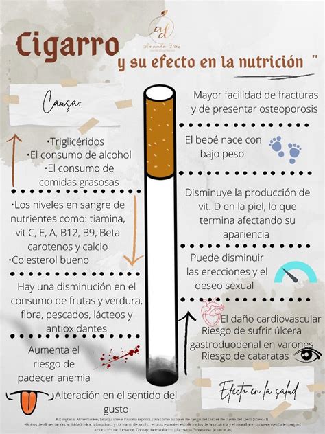 Infografía sobre los efectos del tabaquismo en el sistema cardiovascular
