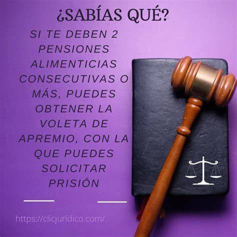 Infografía: Mecanismos de apremio por incumplimiento de pensiones alimenticias en Chile