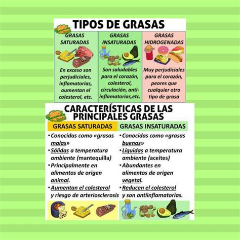 Infografía detallando los tipos de grasas (saturadas, insaturadas, trans) y su impacto en el colesterol.