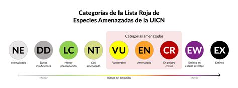 infografía con categorías de conservación IUCN