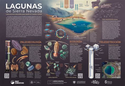 infografía sobre las lagunas previsionales y su impacto en la pensión