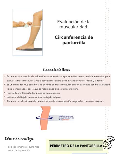 Esquema de medición de la circunferencia de pantorrilla en un adulto mayor