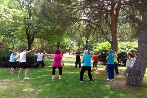 Adultos mayores de Ovalle realizando ejercicios grupales al aire libre bajo supervisión profesional