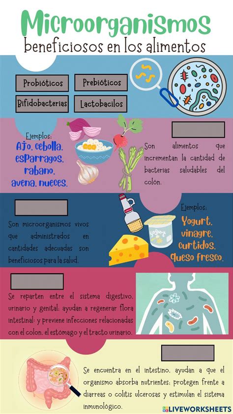 Esquema ilustrativo de cómo los microorganismos contaminan los alimentos desde la granja hasta la mesa