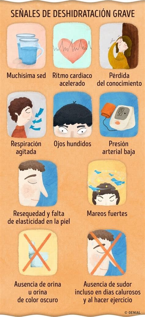 Infografía sobre los síntomas de alerta y signos de deshidratación en pacientes de edad avanzada