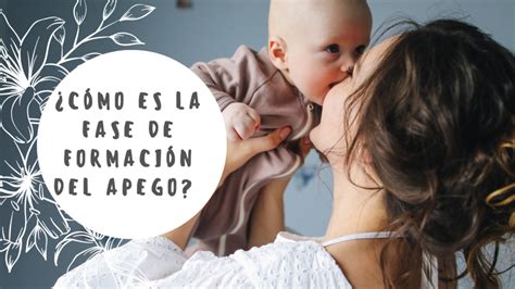 Esquema que ilustra el proceso de formación del apego entre padres e hijos
