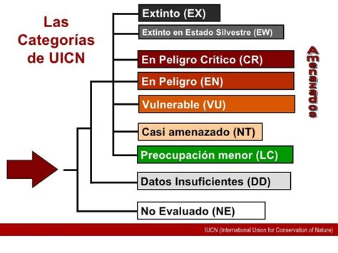 Tabla comparativa que ilustra las categorías de la Lista Roja de la UICN y sus criterios de clasificación.
