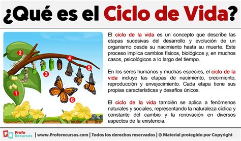 Infografía que muestra el ciclo de vida y cómo las carencias acumuladas (educación, empleo, salud) derivan en la pobreza durante la vejez.