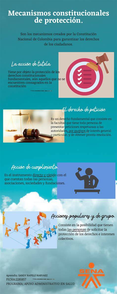 Infografía: mecanismos de protección y recursos disponibles