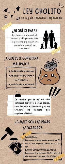 infografía sobre los puntos clave de la Ley Cholito en Chile