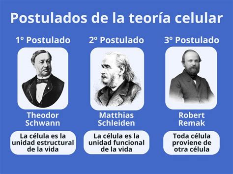 Infografía sobre los postulados clave de la teoría de la desvinculación
