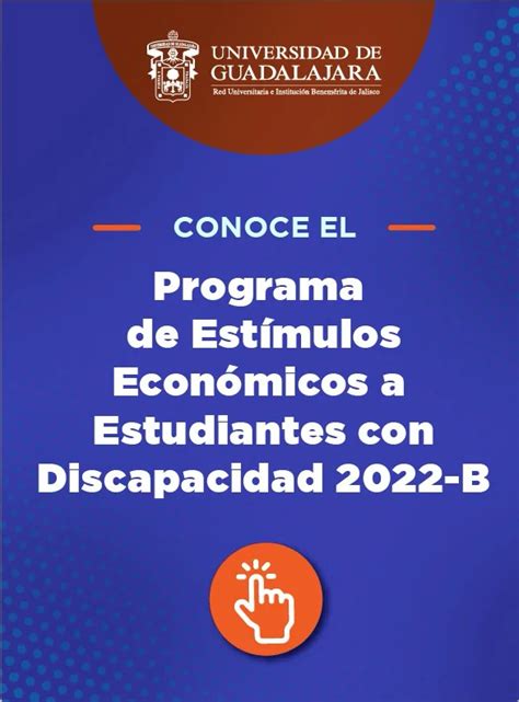 Infografía que detalla la distribución de cupos de becas para estudiantes con discapacidad entre diferentes tipos de instituciones educativas.