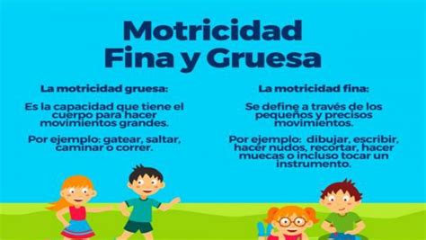 Infografía comparando motricidad fina y gruesa.