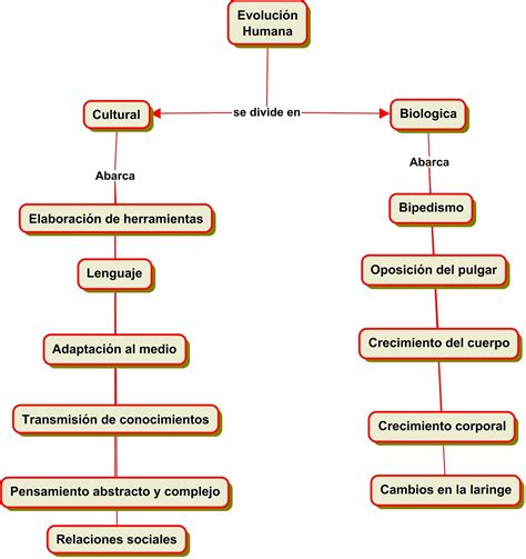 Esquema sobre la evolución de la diversidad en los personajes de animación modernos