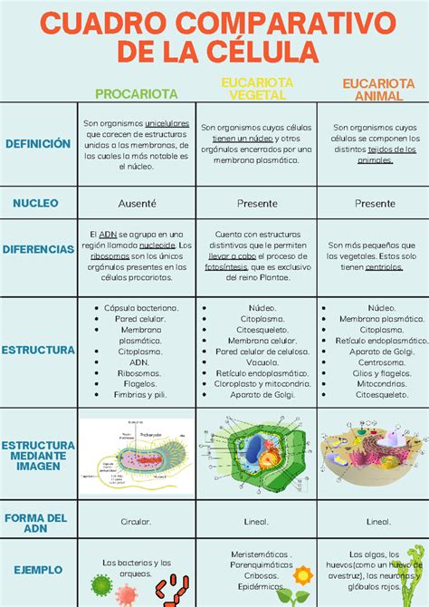 Esquema comparativo entre regulaciones obsoletas y la realidad de los ELEAM