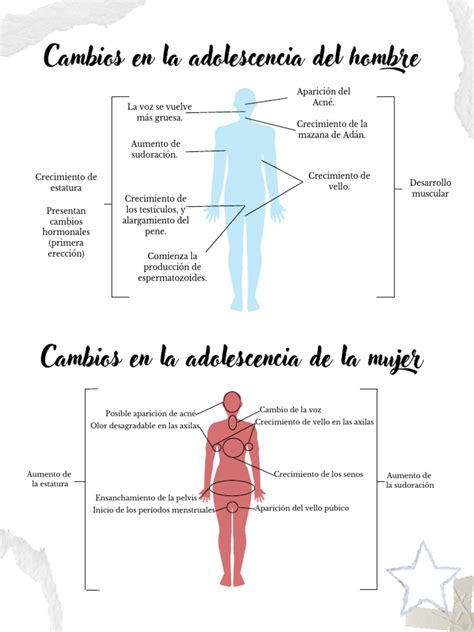 infografía sobre los cambios en los pies con la edad (ensanchamiento, pérdida de almohadilla grasa, etc.)