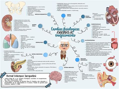Infografía sobre los cambios biológicos normales en el envejecimiento