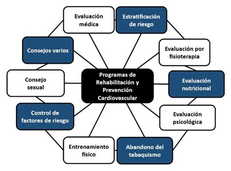 Esquema de los componentes de la rehabilitación integral en fisioterapia