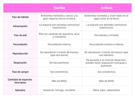 Tabla comparativa de discapacidades y minusvalías por grupos de edad