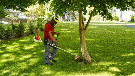 Persona realizando trabajos de jardinería en una parcela
