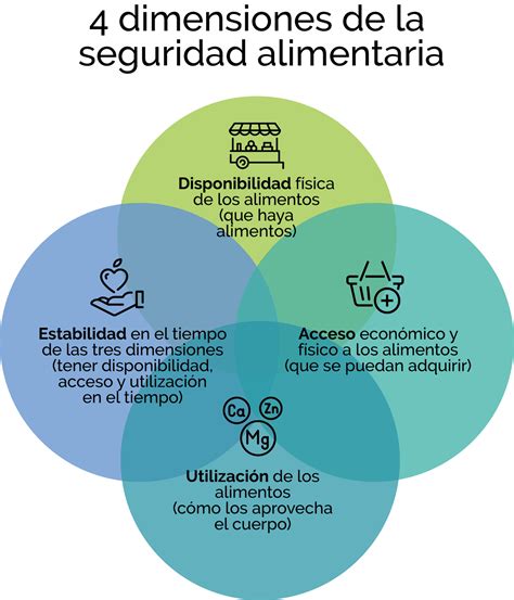 Esquema de las cuatro dimensiones de la seguridad alimentaria: disponibilidad, acceso, utilización y estabilidad