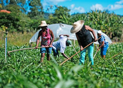 Foto de personas recibiendo ayuda alimentaria o agricultores locales trabajando en un programa de apoyo