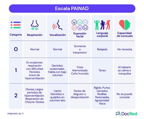 Ejemplos de escalas de dolor para adultos mayores