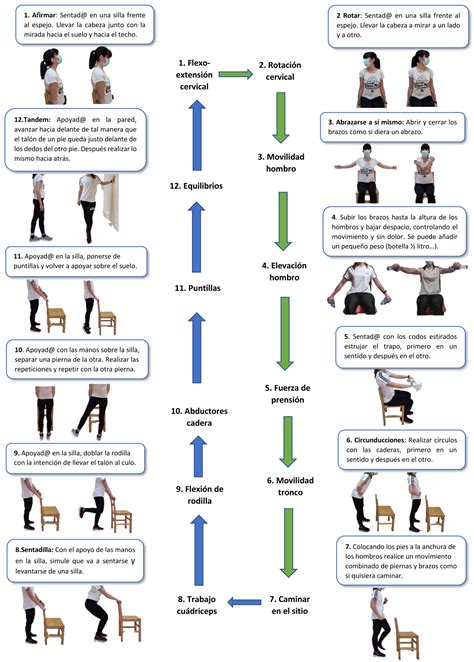 Esquema de ejercicios de brazos para adultos mayores con bajo impacto