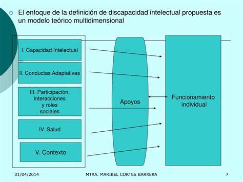 Infografía: Enfoque multidimensional de la discapacidad intelectual (dimensiones: funcionamiento, conducta adaptativa, salud, contexto, participación)