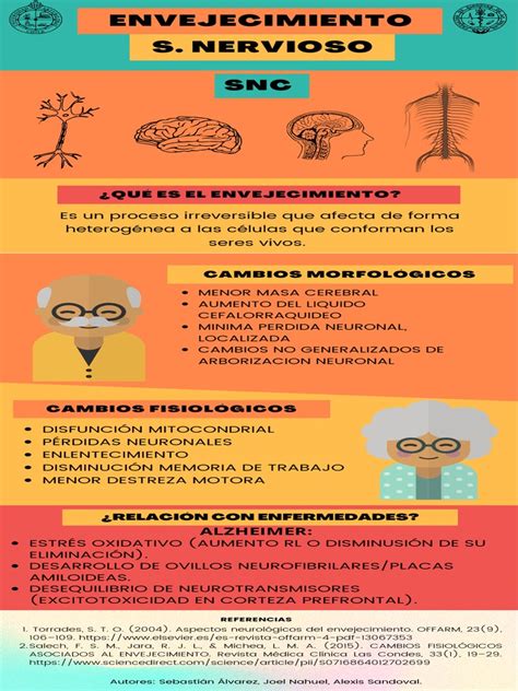 Infografía: Impacto del envejecimiento en los sistemas sensoriales del equilibrio