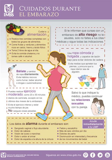 Infografía sobre medidas preventivas durante el embarazo