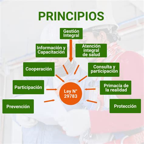 Infografía que resume los principios de la Ley N° 20.422: vida independiente, accesibilidad universal, diseño universal, intersectorialidad, participación y diálogo social.