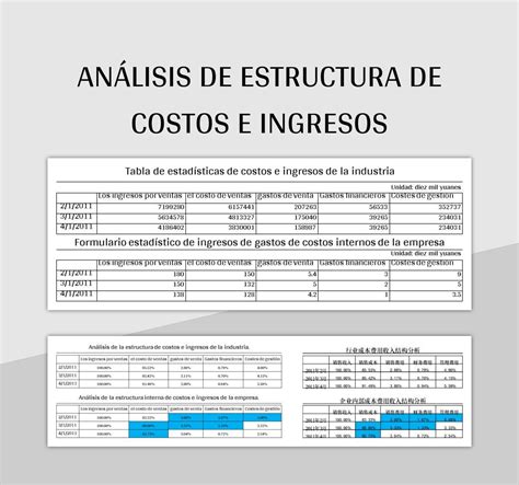 Infografía: Estructura de ingresos y costos del Hogar San Vicente de Paul La Sultana