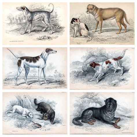 Representación artística de perros antiguos junto a cazadores prehistóricos