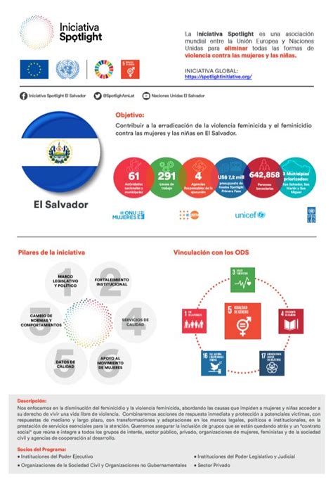 Infografía: Componentes del Pilar 4 de la Iniciativa Spotlight y su interconexión