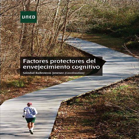 Diagrama de factores protectores del cerebro en envejecimiento