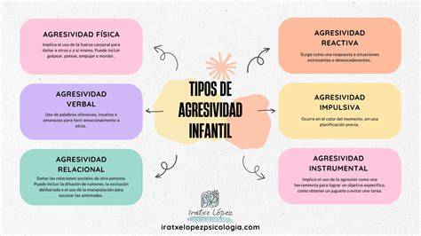 Infografía: Causas y manejo de la agresividad en personas mayores
