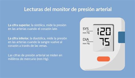 Diagrama que ilustra el mecanismo de compensación de la presión arterial al pasar de la posición supina a la erguida, destacando el papel de los barorreceptores y la respuesta simpática.
