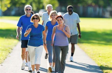 Un grupo de adultos mayores disfrutando de una caminata tranquila en un parque, rodeados de naturaleza.
