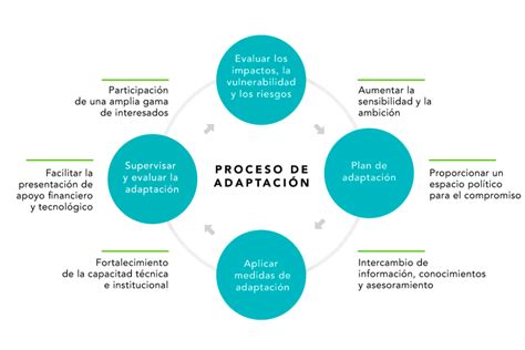esquema: fases de adaptación a la jubilación
