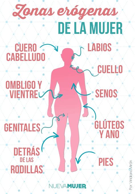 Infografía mostrando las zonas del cuerpo que deben protegerse al patinar