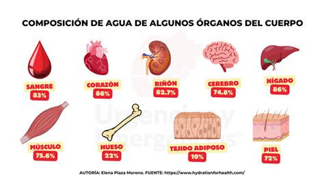 Gráfico que muestra la proporción de agua en el cuerpo según la edad