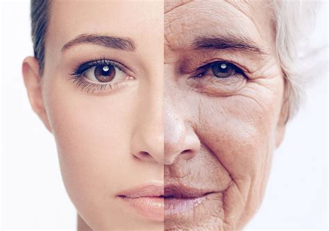 ilustracion de los cambios faciales asociados al envejecimiento