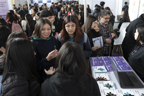 Esquema informativo sobre los requisitos generales y el proceso de postulación para becas de discapacidad en instituciones de educación superior.