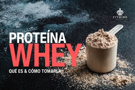 Infografía sobre la composición de la proteína whey y sus efectos en el cerebro
