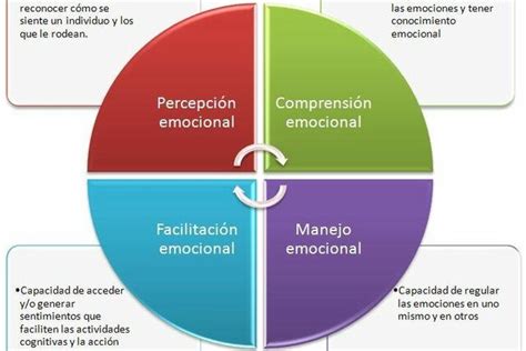 Ilustración esquemática de las cuatro ramas de la inteligencia emocional según Mayer y Salovey: Percepción, Uso, Comprensión y Manejo de las emociones.