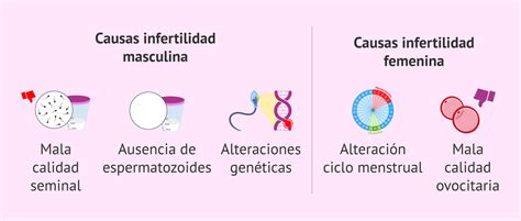 Infografía: Causas de infertilidad masculina y femenina