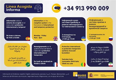 Infografía: Razones principales del ingreso de niños al sistema de acogida en EE. UU.