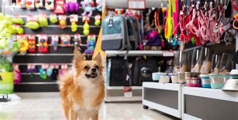 Tienda de mascotas con un letrero de 